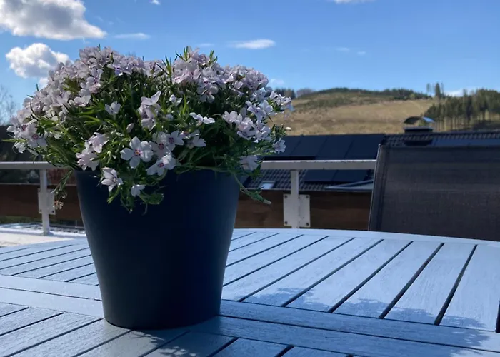 Design-fewo Sonnendeck Daire Winterberg